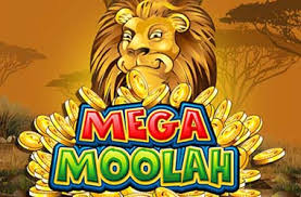 Play Mega Moolah Online for Real Money 🎰 Best Jackpot Casino India-banner